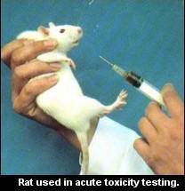 Cosmetic Animal Testing