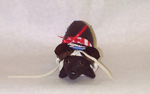 ChlorineA.jpg (14479 bytes)