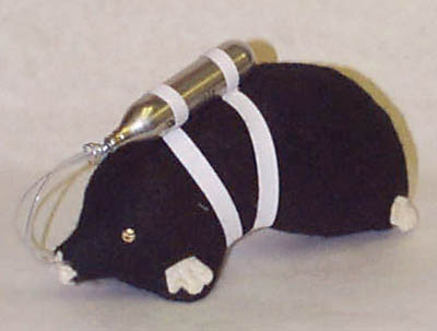 Oxygen.JPG (17519 bytes)