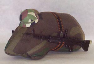 cynthiatT p.JPG (11393 bytes)