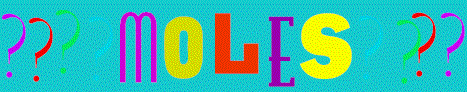 moletitle wid gif2.gif (50710 bytes)