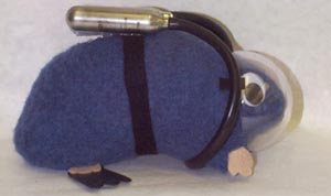 shaunG H2O.JPG (10852 bytes)