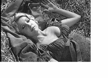 Overall the movie Young Frankenstein had it